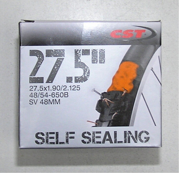 Duše CST 27,5x1,9/2,125 AV 48 mm s tmelem (1)